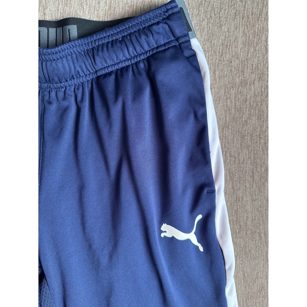 Puma Mens Navy Blue Training Soccer Pants Joggers Size Large